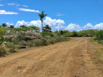 Terrain Agricole