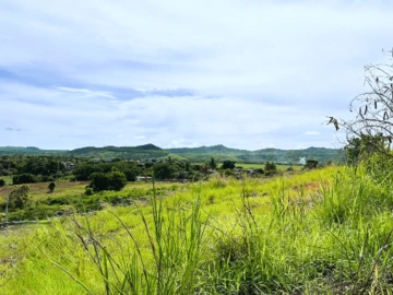 Terrain Agricole