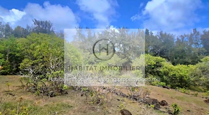Magnificent plot of land of 772 toises (2,937 m² / 69 perches) located at Trèfles, Rodrigues Island