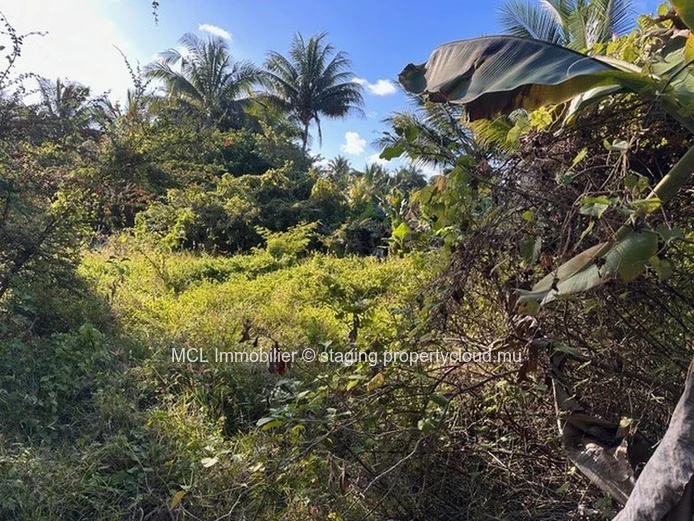 Rare Freehold Beachfront Land 