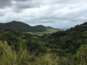 Agricultural Land