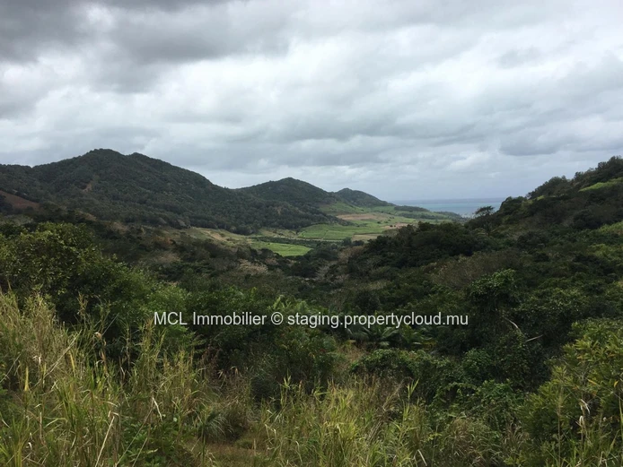 Terrain agricole de 9 arpents 42 perches  à Anse Jonchée