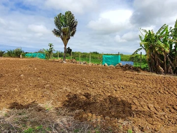 Agricultural Land