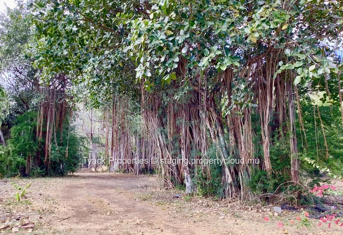 Residential Land for Sale in Pailles – Prime Location