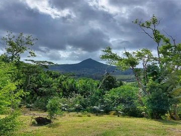 Agricultural Land