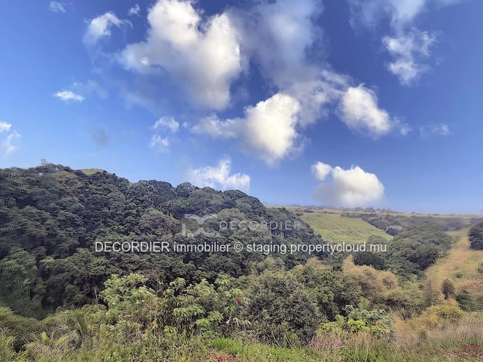 Agricultural land near Savanne river. (Sole Mandate)