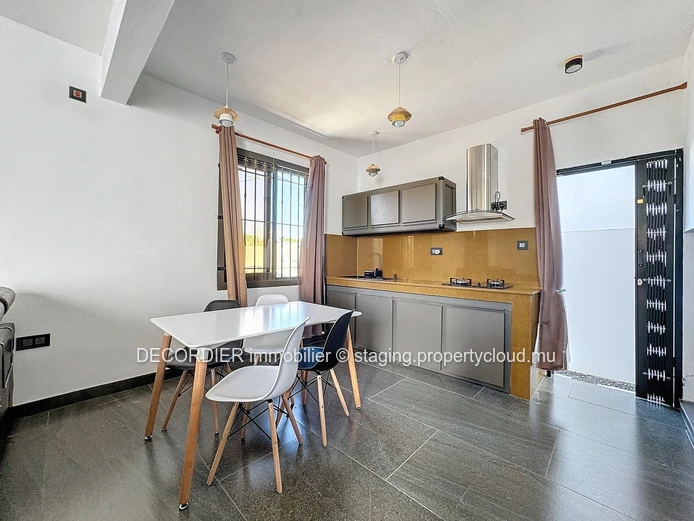 Large detached house with swimming pool