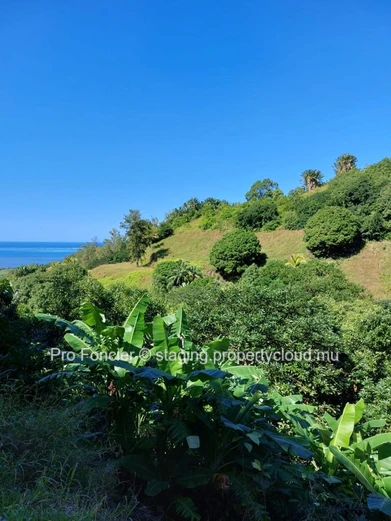 Maison à Anse Jonchee - Une évasion parfaite
