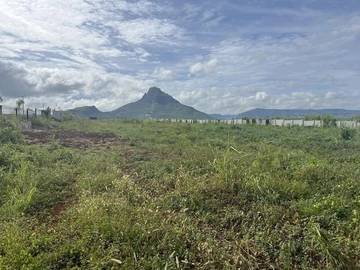 Residential Land