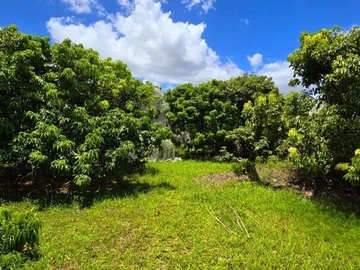 Agricultural Land