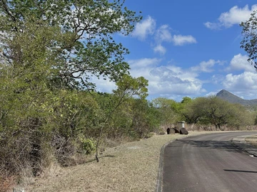 Residential Land