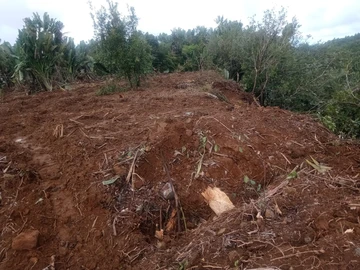 Terrain Agricole