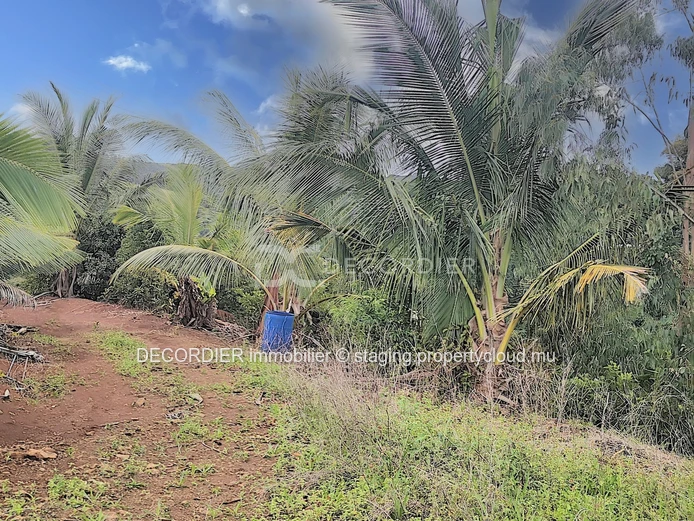 Agricultural land near Savanne river. (Sole Mandate)