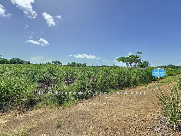 Terrain agricole en conversion résidentielle