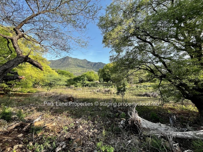Rare Development Opportunity – 3,540 m² Plot for Up to 3 Single-Storey Villas in Domaine de Palmyre
