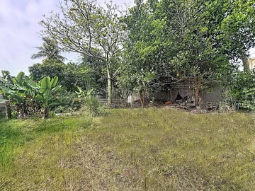 Land