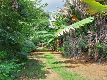 Agricultural Land