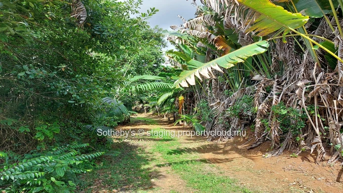 Nature Splendour 