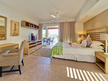 3 Bedroom Penthouse