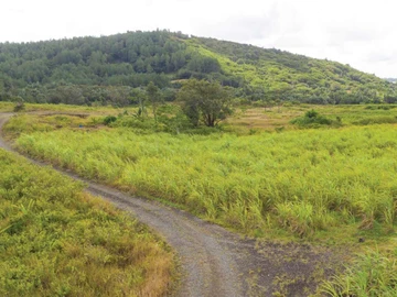 Agricultural Land