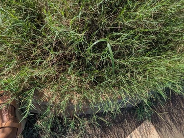 Residential Land