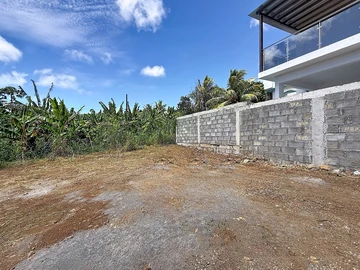 Terrain