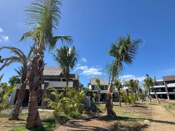 4 Bedroom Villa
