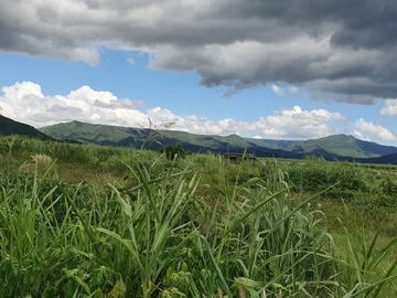 Terrain Résidentiel