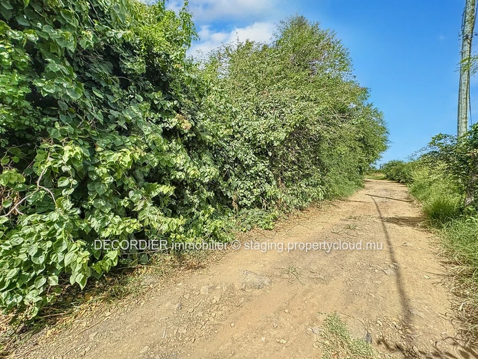 À Vendre Péreybère Terrain Résidentiel