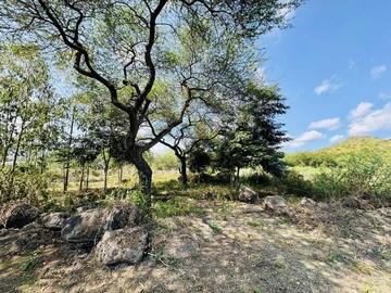 Residential Land