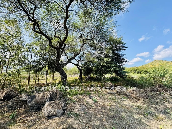 Property Listing: Prime Plot in Morc Belouguet, Tamarin