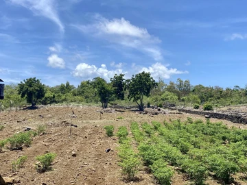 Agricultural Land