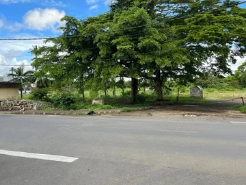Land