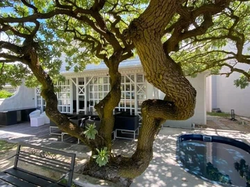 3 Bedroom Townhouse, Duplex