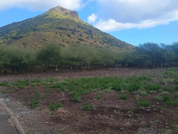 Residential Land