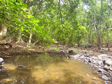 Land