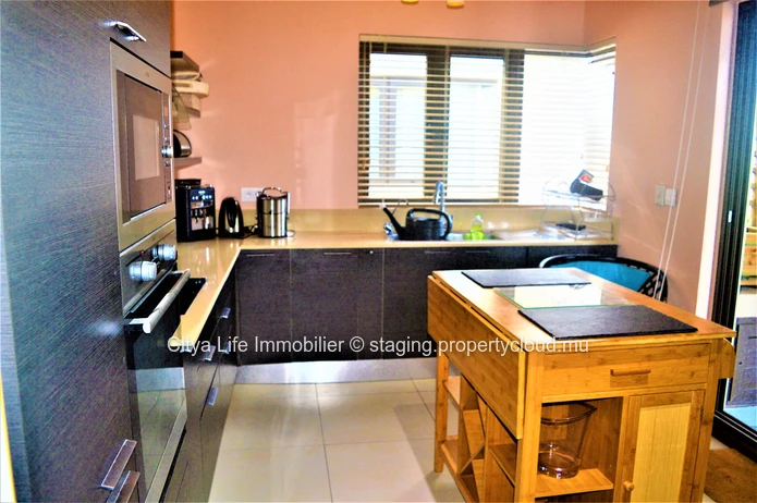 Dream penthouse for sale