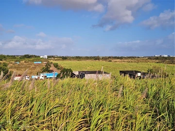 Terrain