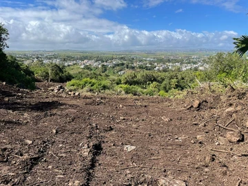 Agricultural Land