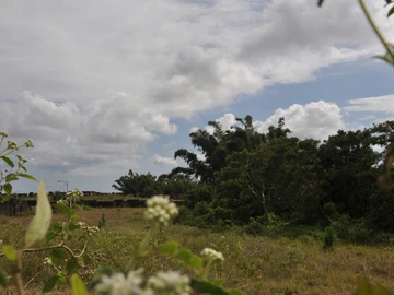 Terrain Résidentiel