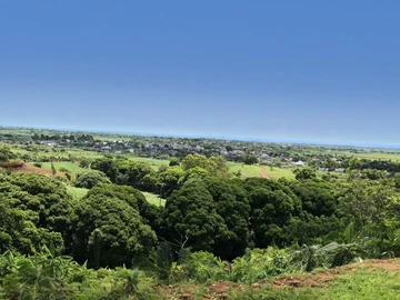Terrain