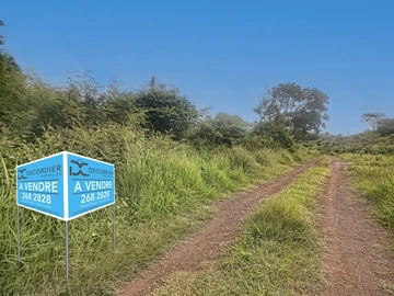 Land