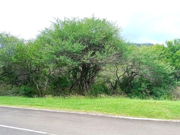 Residential Land