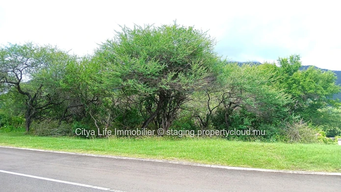 Plot of Land for Sale – 2,785m² in Domaine de Palmyre