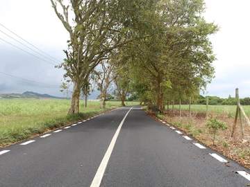 Agricultural Land