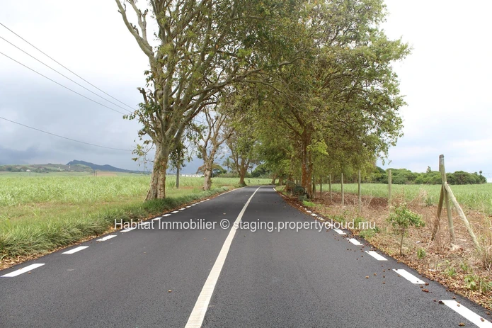  A VENDRE - Terrain agricole de 4 arpents sur la route principale à Petite Julie.