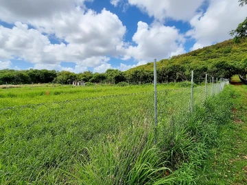 Terrain Agricole