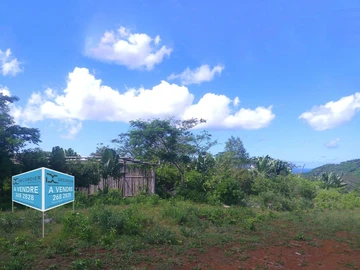 Terrain