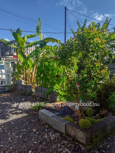Maison En Vente À Curepipe