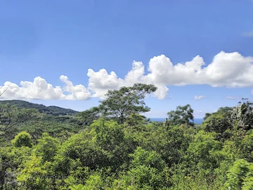 Terrain